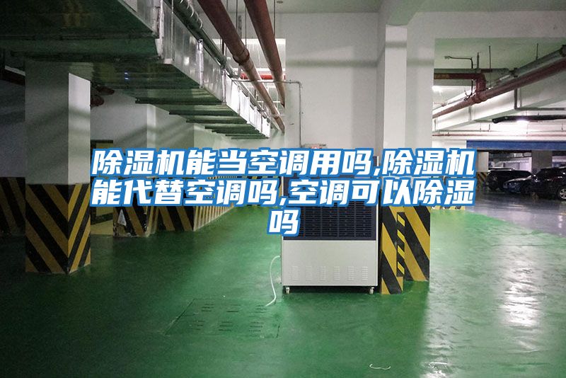 除濕機(jī)能當(dāng)空調(diào)用嗎,除濕機(jī)能代替空調(diào)嗎,空調(diào)可以除濕嗎