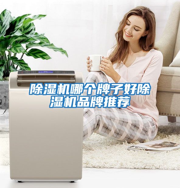 除濕機哪個牌子好除濕機品牌推薦