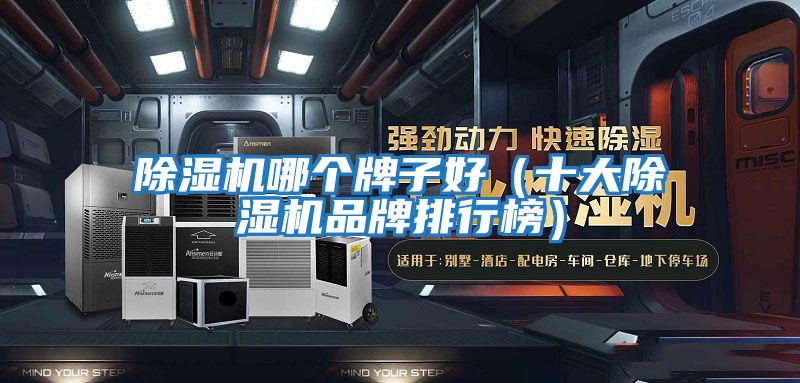 除濕機(jī)哪個牌子好（十大除濕機(jī)品牌排行榜）