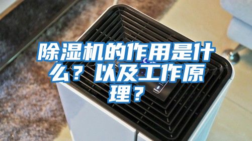 除濕機(jī)的作用是什么？以及工作原理？