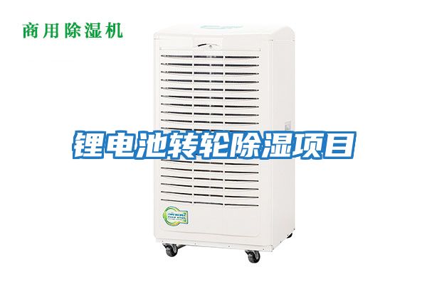 鋰電池轉輪除濕項目