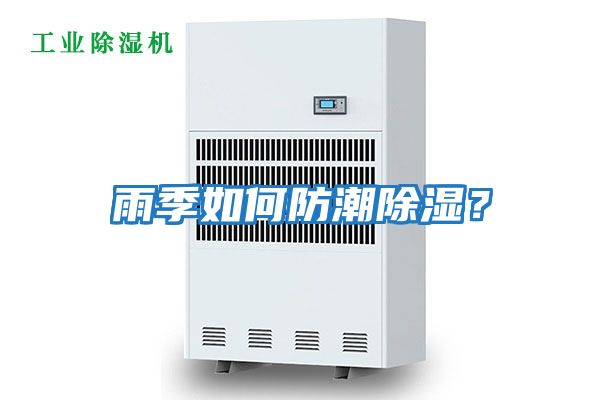 雨季如何防潮除濕？