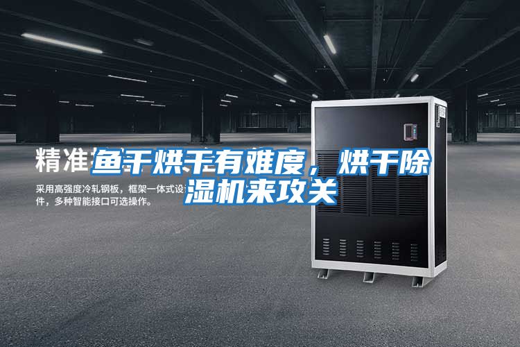 魚干烘干有難度，烘干除濕機來攻關(guān)