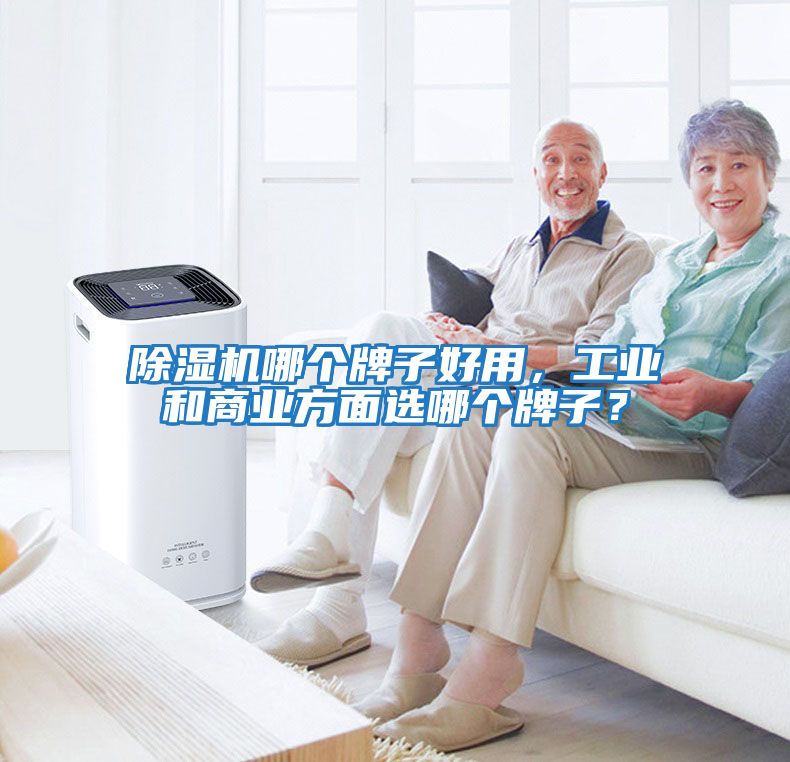 除濕機哪個牌子好用，工業和商業方面選哪個牌子？