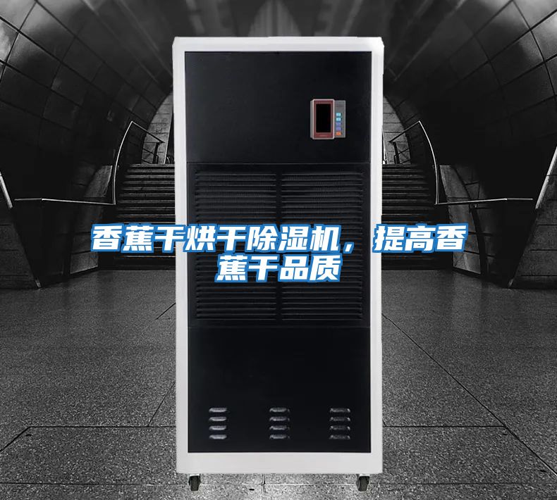 香蕉干烘干除濕機，提高香蕉干品質