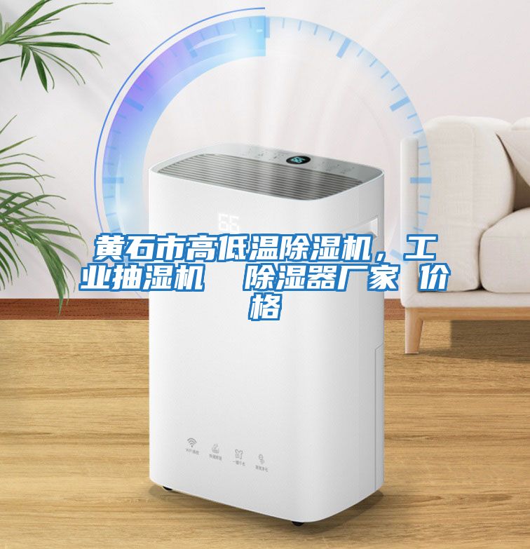 黃石市高低溫除濕機，工業(yè)抽濕機  除濕器廠家 價格