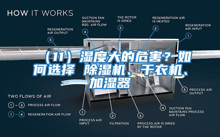 （11）濕度大的危害？如何選擇 除濕機(jī)、干衣機(jī)、加濕器