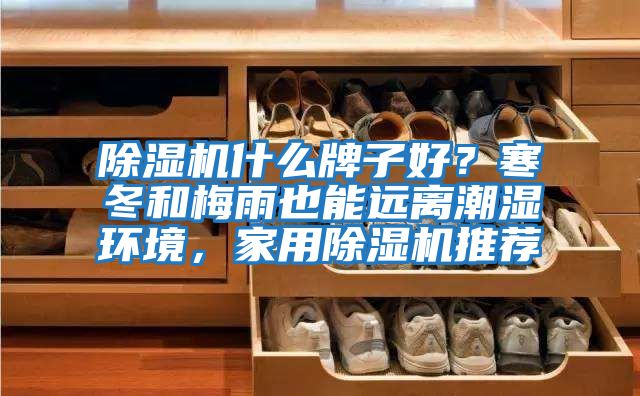 除濕機什么牌子好？寒冬和梅雨也能遠離潮濕環境，家用除濕機推薦