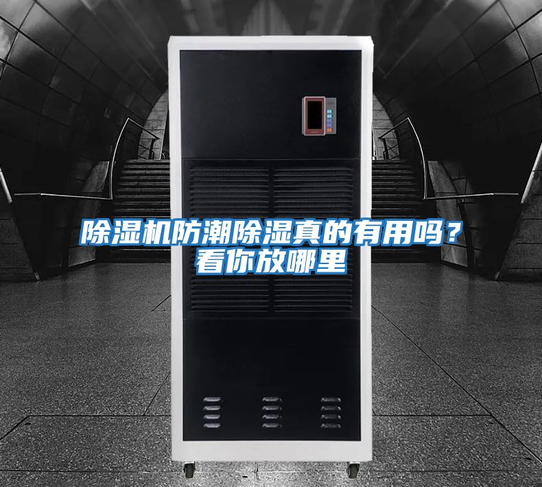 除濕機防潮除濕真的有用嗎？看你放哪里