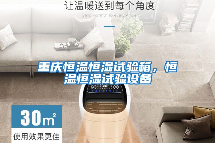 重慶恒溫恒濕試驗(yàn)箱，恒溫恒濕試驗(yàn)設(shè)備