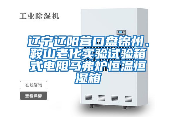 遼寧遼陽營口盤錦州、鞍山老化實驗試驗箱式電阻馬弗爐恒溫恒濕箱