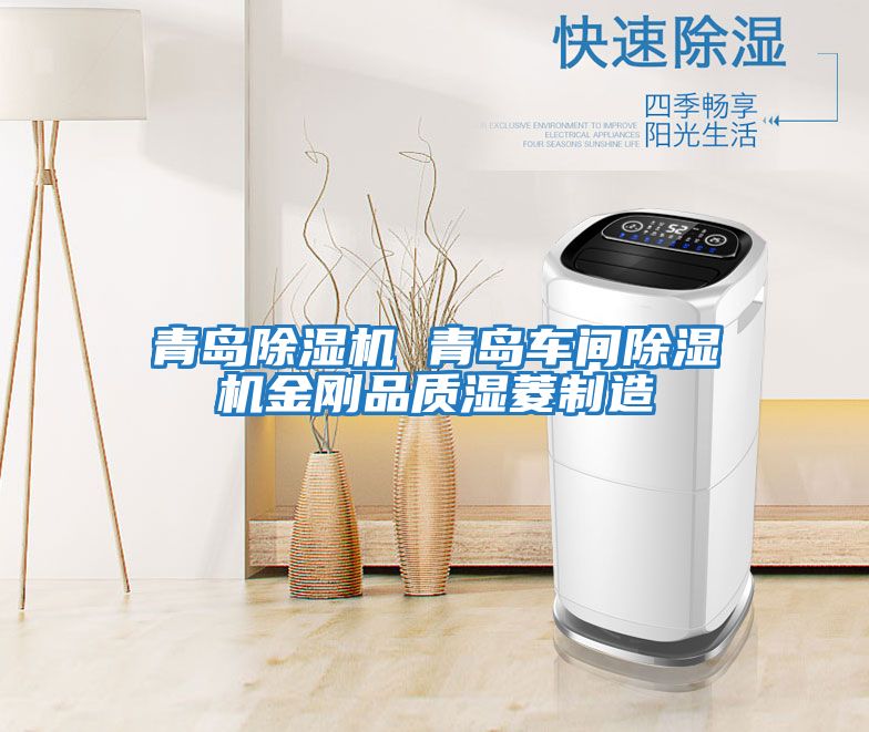 青島除濕機(jī) 青島車(chē)間除濕機(jī)金剛品質(zhì)濕菱制造