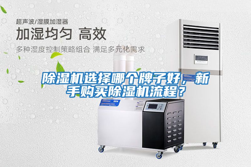 除濕機(jī)選擇哪個(gè)牌子好，新手購(gòu)買(mǎi)除濕機(jī)流程？