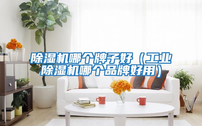 除濕機哪個牌子好（工業除濕機哪個品牌好用）