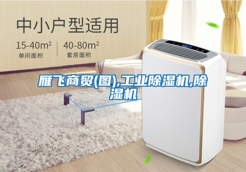 雁飛商貿(mào)(圖),工業(yè)除濕機,除濕機